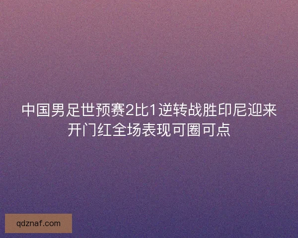 中国男足世预赛2比1逆转战胜印尼迎来开门红全场表现可圈可点