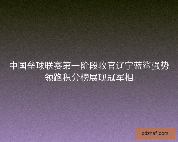 中国垒球联赛第一阶段收官辽宁蓝鲨强势领跑积分榜展现冠军相